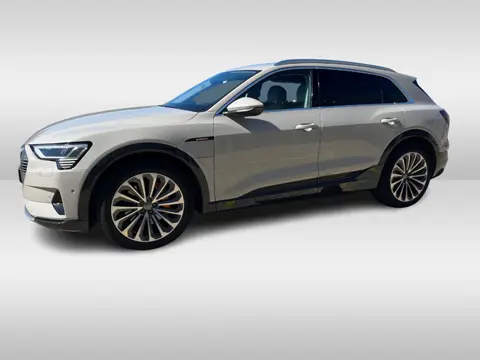 Audi e-tron e-tron 55 quattro advanced Pro Line Plus 95 kWh / Full option! / Trekhaak / Panoramadak 