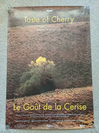 TASTE OF CHERRY / De smaak van kersen filmposter.