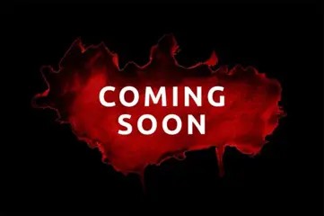 PORSCHE BOXSTER 3.4S Tiptronic / 100% Dealer - Specialist historie / 1e lak / Top staat