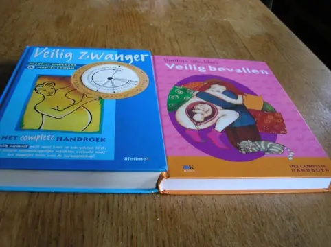 Beatrijs smulders &amp; mariel croon - veilig zwanger /