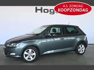 Škoda Fabia 1.2 TSI JOY Airco Cruise Control LED Rijklaarprijs! Inruil Mogelijk!