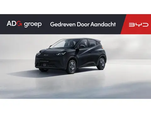 BYD DOLPHIN SURF Active 30 kWh | Achteruitrijcamera | Adaptieve cruise control | Apple Carplay