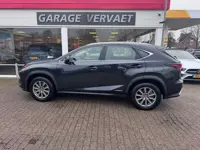 Lexus NX 300h AWD Business Line (bj 2020, automaat)