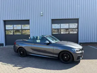 BMW 2-SERIE 220I High Executive M-sport I Alcantara I Navi