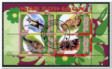 CINDERELLA: Buideldieren / Marsupials - Congo - 2010