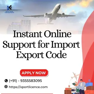 Instant Online Support for Import Export Code