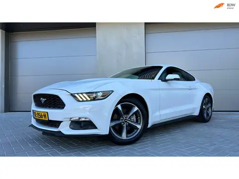 Ford Mustang Fastback 2.3 EcoBoost, Navi, Leder, Led, 69.000km