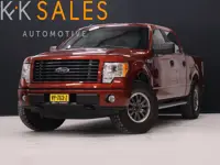 Ford USA F-150 Ford F150 *WEEKAANBIEDING* [LPG, TREKHAAK, CRUISE CONTROL, MICROSOFT SYNC, RESERVEWIE