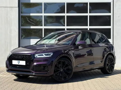 Audi Q5 55 TFSI e Quattro Competition Audi Exclusive Violett