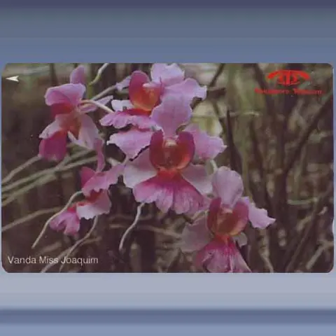 Orchidee&euml;n (1991)