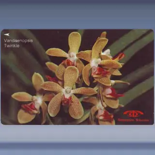 Orchidee&euml;n (1991)