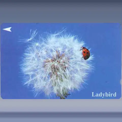 Insecten (1994)