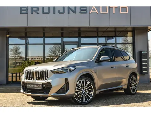BMW X1 xDrive25e M-Sport Frozen mat Grey |Pano|BTW|