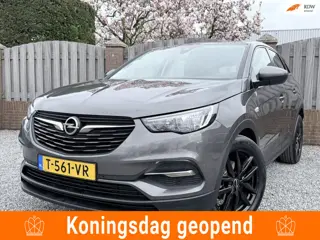 Opel Grandland X 1.2 Turbo 120 Jaar Edition NAVI P CAMERA AIRCO APPLE CARPLAY