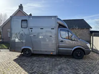 Mercedes-Benz Sprinter PAARDENWAGEN | HORSETRUCK | TVW | STALLION 3XL | 2012 | HENGST | 165PK | 3-SE