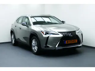 Lexus UX 250h Adap Cruise, Camera, Navi, Velours, 17"LMV All Season Banden