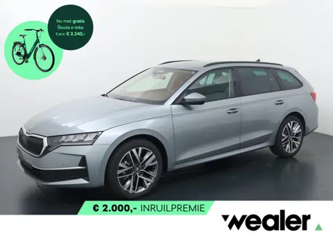 Škoda Octavia combi Business Edt. Plus 1.5 TSI m-HEV DSG 110kW/150Pk