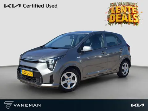Kia Picanto 1.0 DPI DynamicLine Navi | Camera | Cruise | PDC | Android Auto / Apple Carplay |