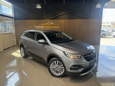 Opel Grandland X 1.2 Turbo Business Edition Navigatie 18 inch LMV Climate  Control Getint glas