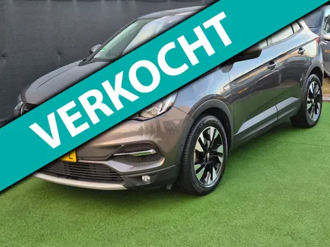 Opel Grandland X 1.6 Turbo Ideale caravan auto!