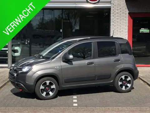 Fiat Panda 1.0 Hybrid Cross CLIMATE|APPLE/ANDROID|5-PERSOONS|BLUETOOTH