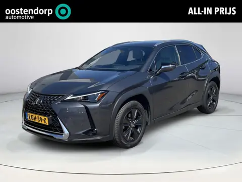 Lexus UX 250h Executive Line