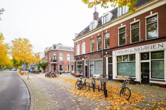 Woning aan de Blauwkapelseweg te Utrecht