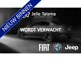 Fiat 500 Icon 24 kWh | Apple/Android Carplay | 16" alu velgen | Parkeersensoren achter