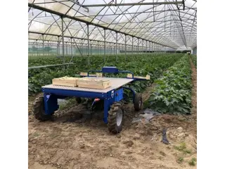 Engels multispin oogsthulp