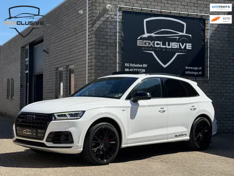 Audi SQ5 3.0 TFSI SQ5 quattro Pro Line Plus Pano/Blind/Virtual