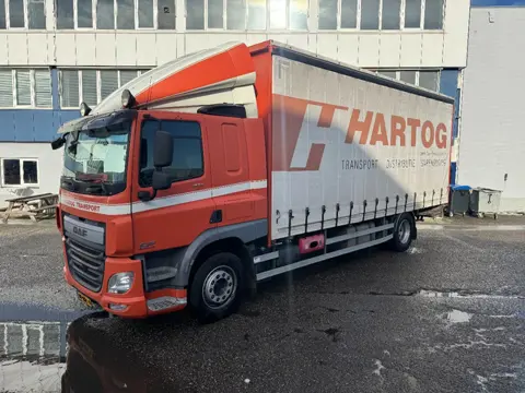 DAF CF 400 4X2 EURO 6 DHOLLANDIA 2000 KG (bj 2013)