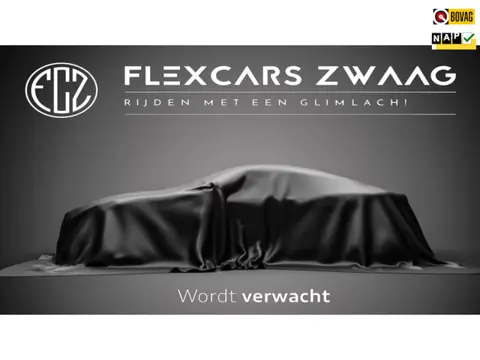 Fiat 500 0.9 TwinAir Turbo Anniversario - Automaat - Media Apple/Android - Panodak - Org.NL