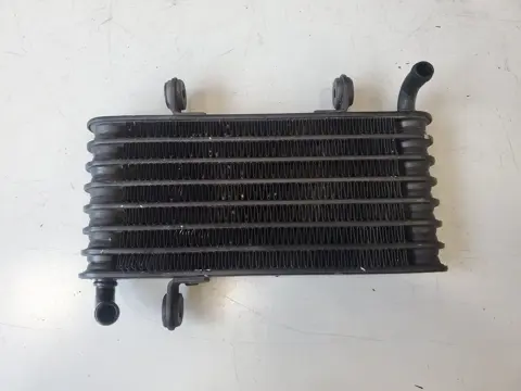 OLIEKOELER Aprilia RST 1000 Futura 2001 - 2004