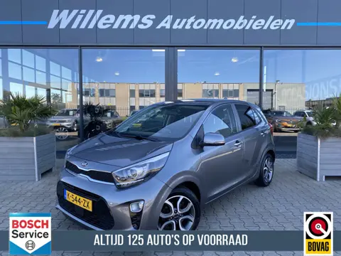 Kia Picanto 1.0 DPi DynamicPlusLine Camera, App-connect & Cruise Control