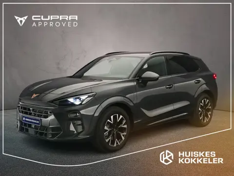CUPRA Terramar Business 1.5 TSI eHybrid 204pk DSG Automaat Trekhaak, Adaptive cruise control, Elektr