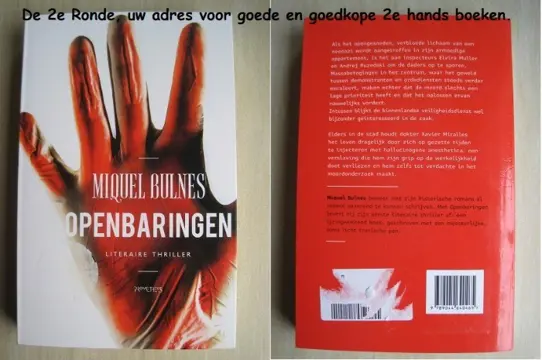 127 - Openbaringen - Miquel Bulnes