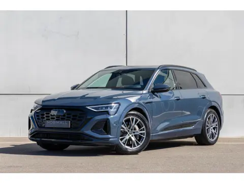 Audi Q8 e-tron 55 quattro S Edition Competition 115 kWh | Head-Up | Matrix | Panoramadak | Trekhaak