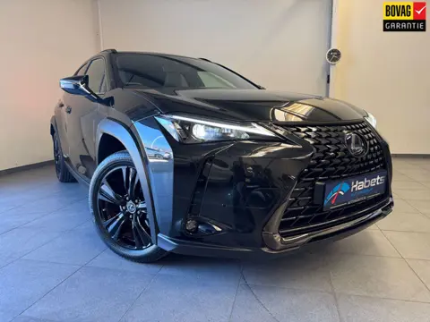 Lexus UX 250h Black Line Luxery / Vol opties! pas 14000km/Dealer onderh. 10j garantie