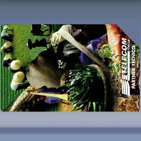 IFAD (1998)