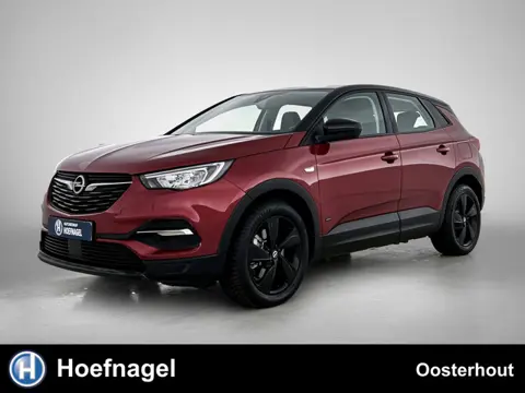Opel Grandland X 1.6 Turbo Hybrid4 Business Elegance | Automaat | Cruise control | Stoelverwarming |