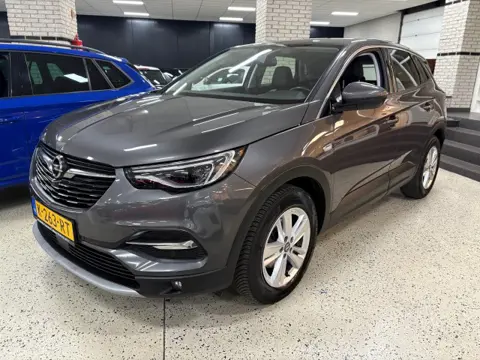 OPEL GRANDLAND X 1.2 T Sport Navigatie ECC Apple Android Trekhaak NAP