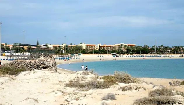 Zomervakantie Rust & ruimte op Fuerteventura