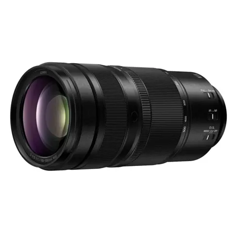 Panasonic LUMIX S 100-500mm f/5-7.1
