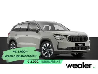 Škoda Kodiaq Business Edition Plus 1.5 TSI PHEV 204 PK | Automaat | Trekhaak | Winterpakket | 19" Li