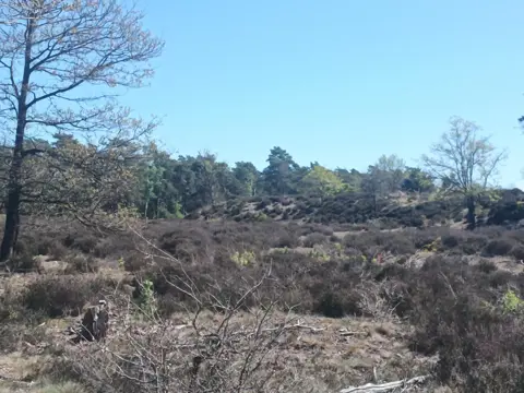 Veluwe Greenlane ritten op 9 en 10 mei.