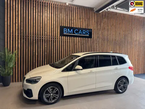 BMW 2-serie Gran Tourer 216i 7p. High Executive Camera, Trekhaak