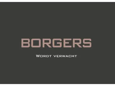 Audi Q8 60 TFSIe Chronosgrey l B&O Adv l Carbon l Volleder