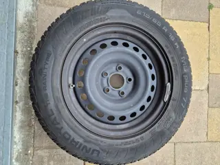 Winterbanden en velgen Nissan Qashqai