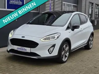 Ford Fiesta 1.0 EcoBoost Active zeer luxe uitvoering!