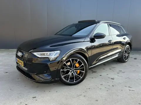 Audi e-tron 50 quattro 313 PK S edition 71 kWh S Line PANO DAK VIRTUAL COCKPIT ADAPT CRUISE CAMERA M